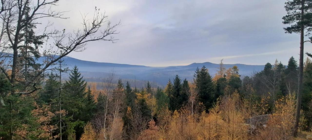Appartamento Jodla I Modrzew Jelenia Góra Esterno foto